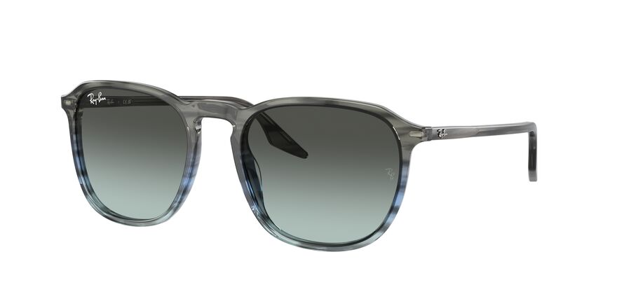 Ray Ban Sonnenbrille RB2203 1391GK von Optiker Gronde, Seite
