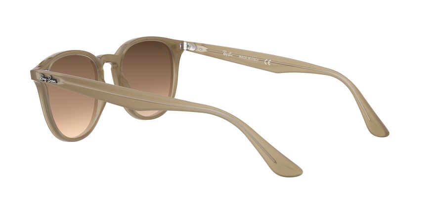 ray-ban-sonnenbrillen-RB4259-616613-optiker-gronde-augsburg-rückseite