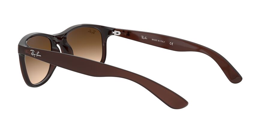ray-ban-sonnenbrillen-RB4202-607313-optiker-gronde-augsburg-rückseite