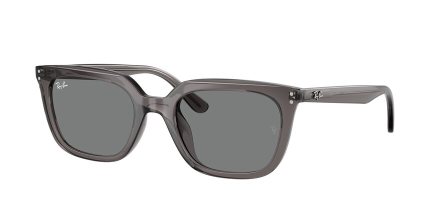 Ray Ban Sonnenbrille RB4439D 667587 von GRONDE Sehen & Hören, Seite Ray Ban Sonnenbrille RB4439D 667587 von Optiker Gronde, Seite