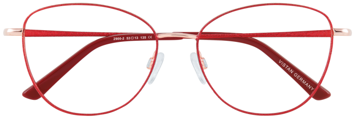 Vistan Brille 2900 1 von Optiker Gronde, Front