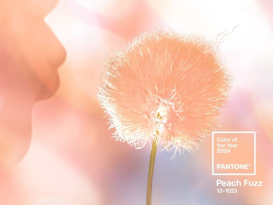 Pantone Trendfarben 2024 - Peach Fuzz. Im Blog von Optiker Gronde