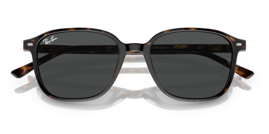 Ray Ban Sonnenbrille RB2193 902 GH von GRONDE Sehen & Hören, Front Ray Ban Sonnenbrille RB2193 902 GH von Optiker Gronde, Front